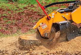 Best Organic Lawn Care Solutions  in Princeton Junction, NJ